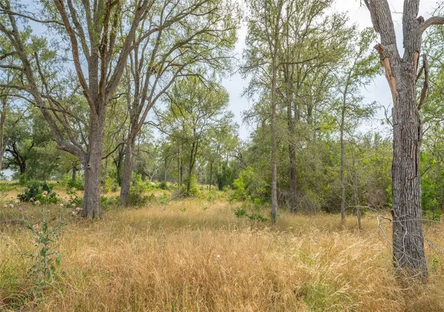 5th image of 960 Ferguson Loop, Dale, TX 78616 | MLS# 5381501