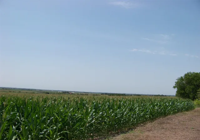 6th image of 10650 Fm 971 Rd, Granger, TX 76530 | MLS# 4228426
