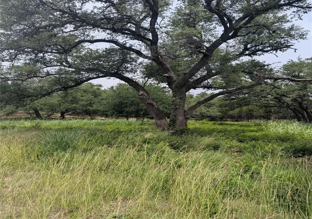 Photo 1 of Land for sale at Lot 2 Hamilton Pool Rd, Bee Cave, TX 78738 | MLS# 5871532 | Listing updated on 2026-09-30