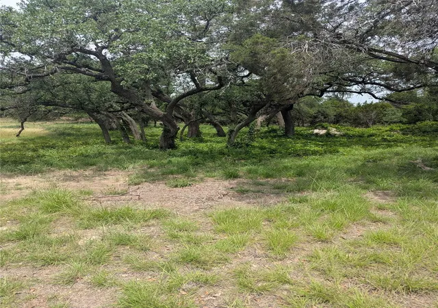 Photo 4 of Land for sale at Lot 2 Hamilton Pool Rd, Bee Cave, TX 78738 | MLS# 5871532 | Listing updated on 2026-09-30