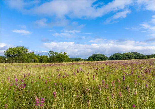 Photo 3 of Land for sale at 00 Vaquero Vista Trl Ln, Lampasas, TX 78608 | MLS# 3553117 | Listing updated on 2026-03-16