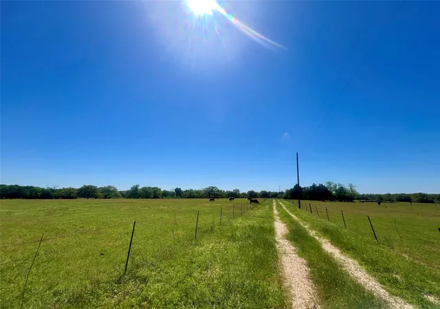 Photo 2 of Land for sale at 2542 County Rd 306, Lexington, TX 78947 | MLS# 9282421 | Listing updated on 2026-08-07