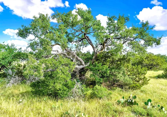 3rd image of 000 Oakwood Loop, San Marcos, TX 78666 | MLS# 1515936