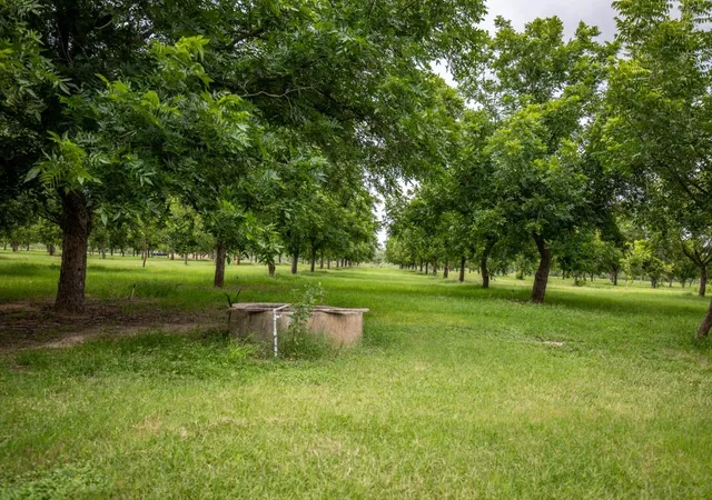 Photo 3 of House for sale at 2432 County Rd 402, Falfurrias, TX 78355 | MLS# 7740660 | Listing updated on 2026-06-03