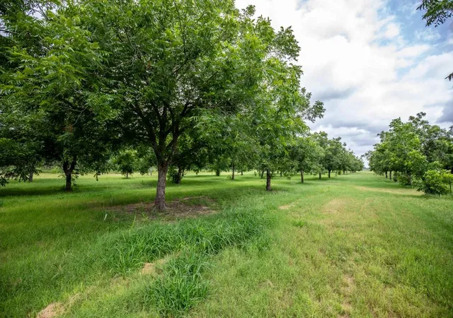 Photo 4 of House for sale at 2432 County Rd 402, Falfurrias, TX 78355 | MLS# 7740660 | Listing updated on 2026-06-03