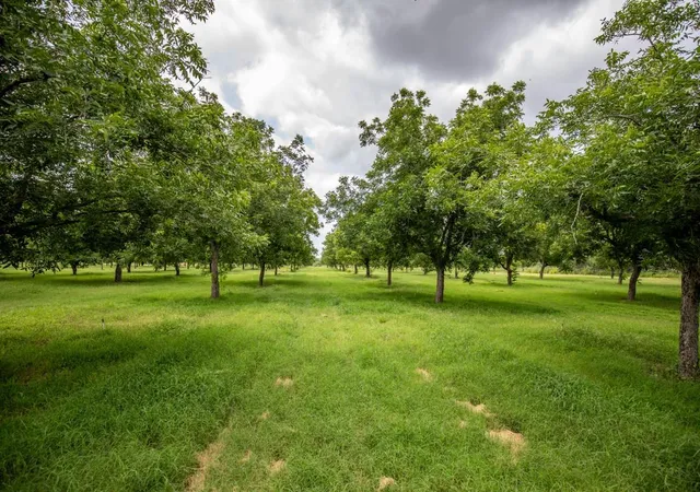 Land for sale at 2432 County Rd 402, Falfurrias, TX 78355 | MLS# 7740660