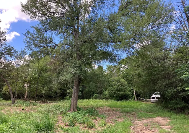 3rd image of 693 Saint Mary'S Rd, Rosanky, TX 78953 | MLS# 3014835