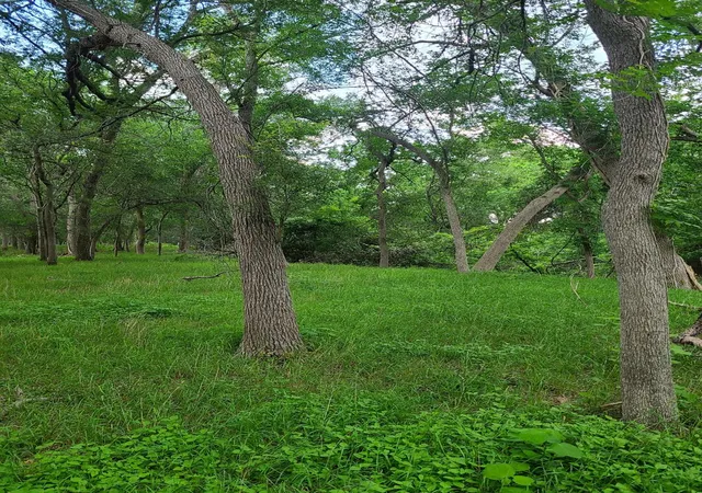 Photo 3 of House for sale at 9411 Fm 86 Hwy, Lockhart, TX 78644 | MLS# 3523845 | Listing updated on 2026-09-23