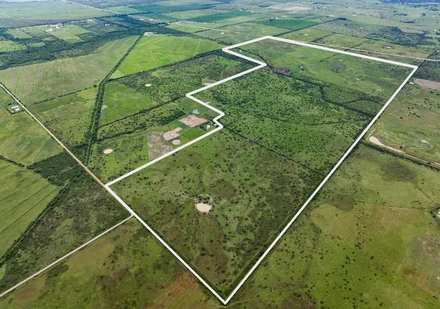 Photo 1 of Sale Pending at Tbd Rice Rd, Bernardo, TX 78933 | MLS# 1605392 | Listing updated on 2026-07-20