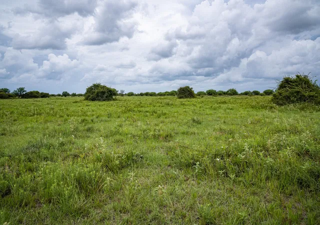Photo 3 of Sale Pending at Tbd Rice Rd, Bernardo, TX 78933 | MLS# 1605392 | Listing updated on 2026-07-20