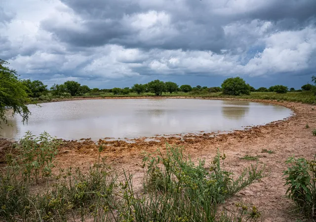 Photo 4 of Sale Pending at Tbd Rice Rd, Bernardo, TX 78933 | MLS# 1605392 | Listing updated on 2026-07-20