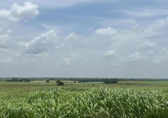 Photo 1 of Land for sale at 999999 E Main St, Troy, TX 76579 | MLS# 4884930 | Listing updated on 2026-05-29