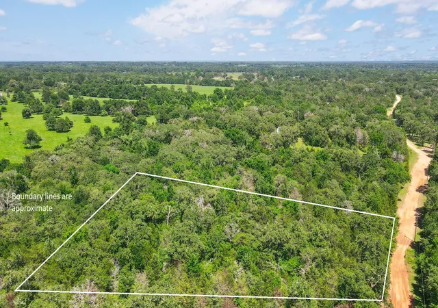 Homes for sale in Caldwell, TX | Tbd (+/- 25 Acres) Cedar Creek, Caldwell, TX 77836 | MLS# 6056015