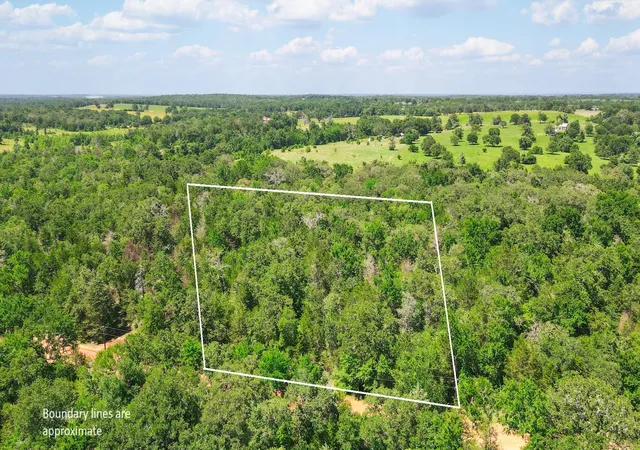 Homes for sale in Caldwell, TX | Tbd (+/- 25 Acres) Cedar Creek, Caldwell, TX 77836 | MLS# 6056015