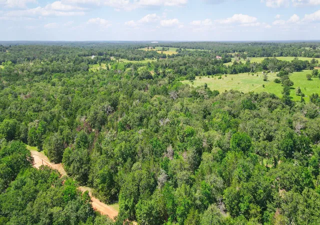 Homes for sale in Caldwell, TX | Tbd (+/  25 Acres) Cedar Creek, Caldwell, TX 77836 | MLS# 6056015