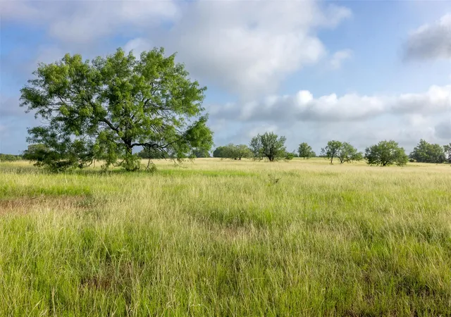 Photo 1 of Land for sale at 4046 State Hwy 21, Caldwell, TX 77836 | MLS# 7709795 | Listing updated on 2026-06-29
