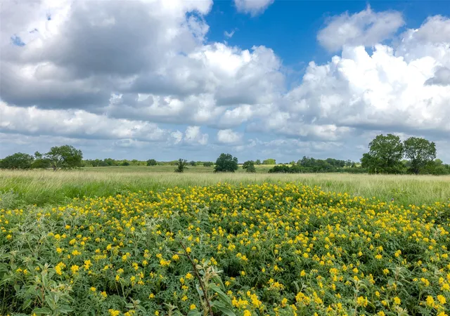 Photo 3 of Land for sale at 4046 State Hwy 21, Caldwell, TX 77836 | MLS# 7709795 | Listing updated on 2026-06-29