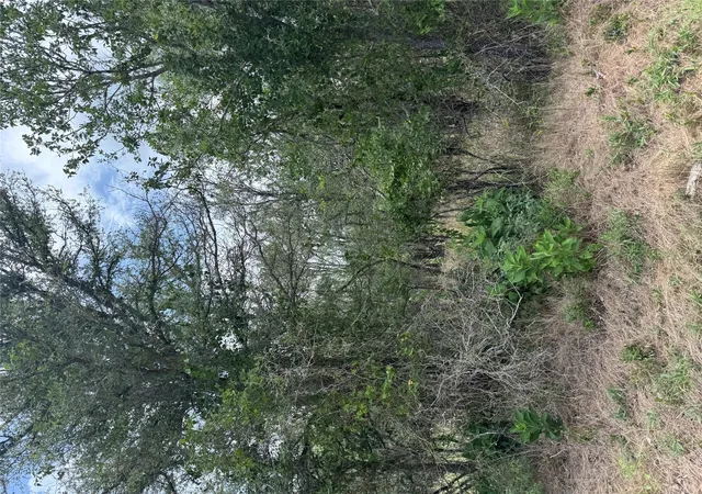 Homes for sale in Bastrop, TX | Lot 686 Kawainui Ln, Bastrop, TX 78602 | MLS# 5356485