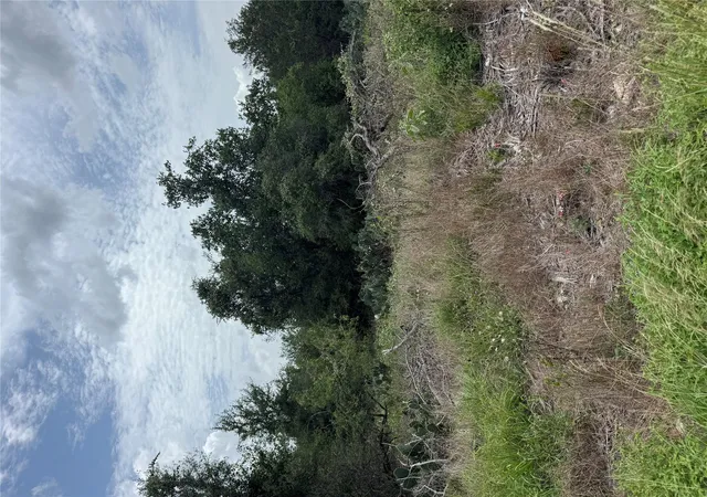 Homes for sale in Bastrop, TX | Lot 687 Kawainui Ln, Bastrop, TX 78602 | MLS# 3318210