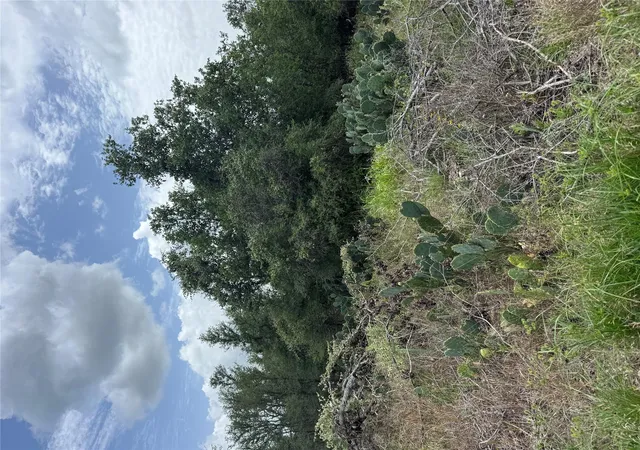 Homes for sale in Bastrop, TX | Lot 687 Kawainui Ln, Bastrop, TX 78602 | MLS# 3318210