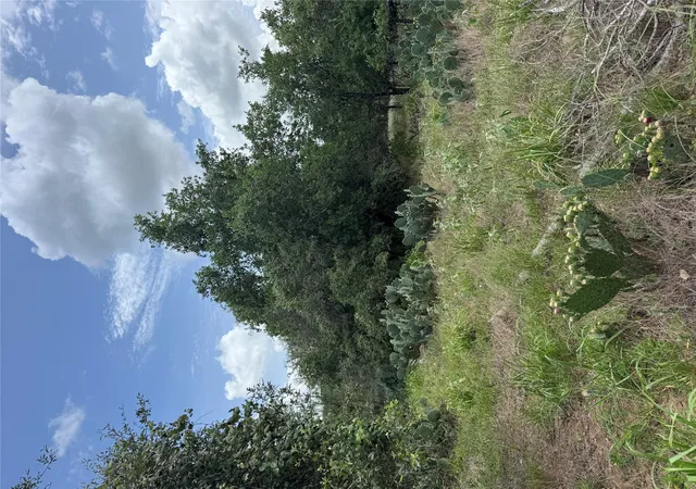 Homes for sale in Bastrop, TX | Lot 687 Kawainui Ln, Bastrop, TX 78602 | MLS# 3318210
