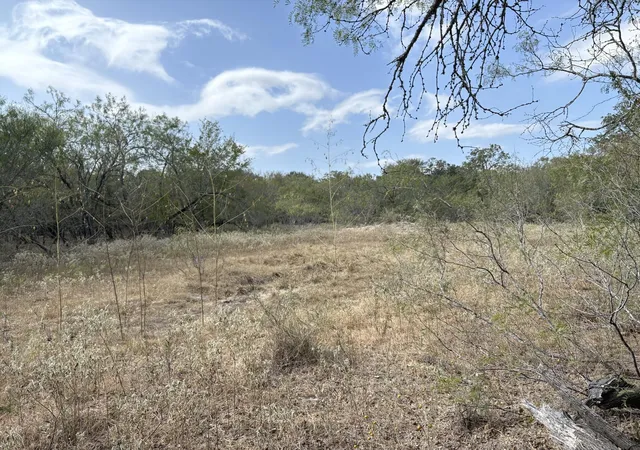 Homes for sale in Flatonia, TX | Tbd 2075 +/- Acres Anchor Ranch Loop, Flatonia, TX 78941 | MLS# 3677500