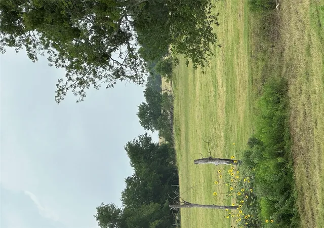36th image of 3007 County Road 303, Jarrell, TX 76537 | MLS# 9541397