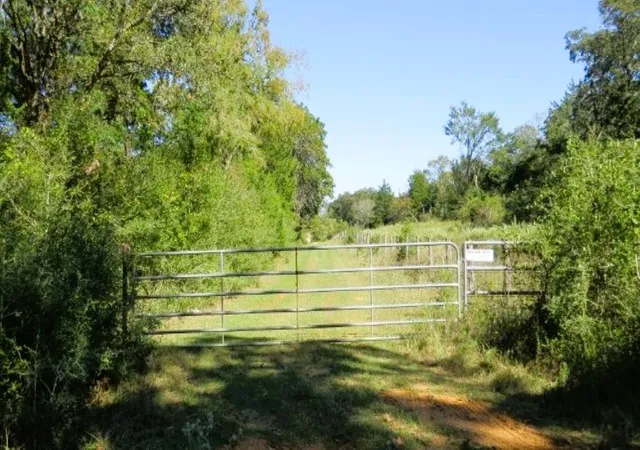 Homes for sale in Hearne, TX | Tbd Jack Rabbit Ln, Hearne, TX 77859 | MLS# 9158621