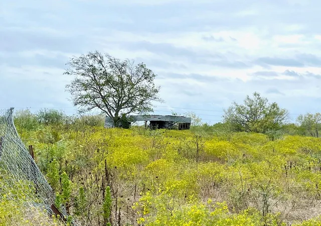 Photo 1 of Land for sale at 11604 Moore Rd, Austin, TX 78719 | MLS# 1069391 | Listing updated on 2026-08-25