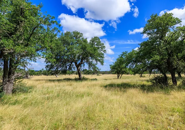 Homes for sale in Harper, TX | Lot 94 Stock Pond Dr, Harper, TX 78631 | MLS# 3371643