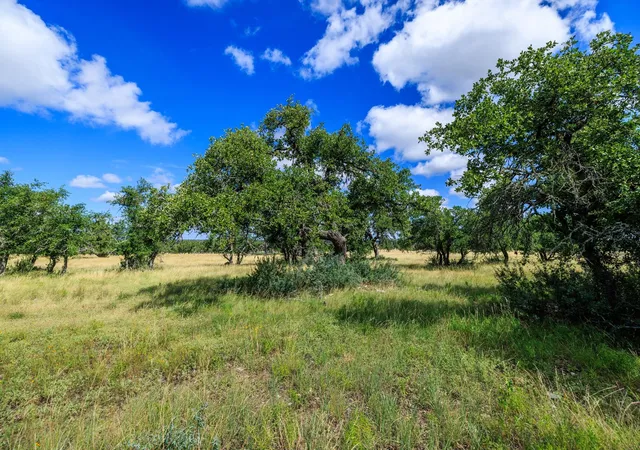 Homes for sale in Harper, TX | Lot 94 Stock Pond Dr, Harper, TX 78631 | MLS# 3371643