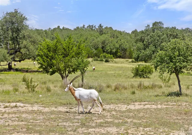 3rd image of Lot 162 Legacy Hills, Johnson City, TX 78636 | MLS# 3882197