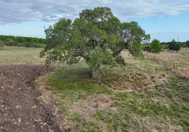 Homes for sale in Round Top, TX | 2077 East State Hwy 237, Round Top, TX 78954 | MLS# 9429700