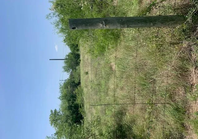 5th image of 1501 N Burleson St, Kyle, TX 78640 | MLS# 3504769