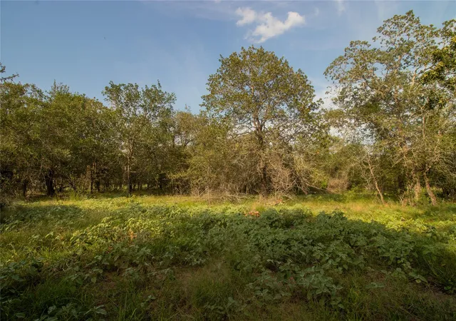 2nd image of 437 Firefly Field Ln, Seguin, TX 78155 | MLS# 5945419