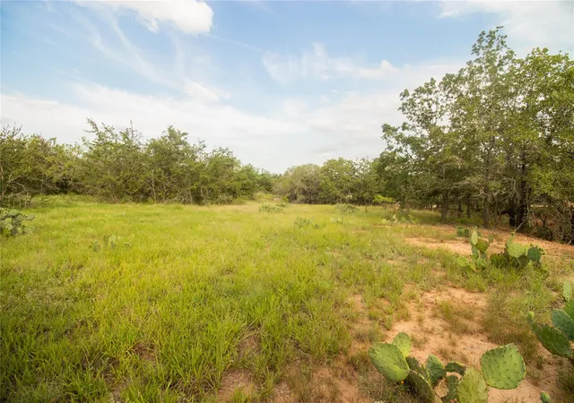 4th image of 437 Firefly Field Ln, Seguin, TX 78155 | MLS# 5945419