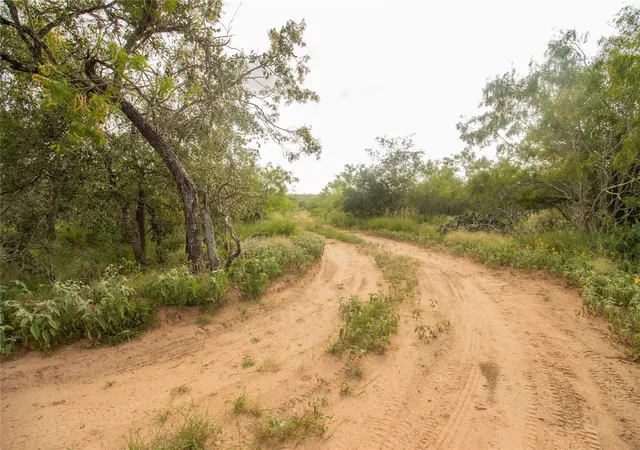 5th image of 437 Firefly Field Ln, Seguin, TX 78155 | MLS# 5945419
