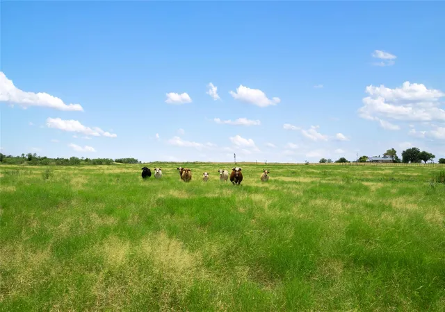 Photo 2 of Land for sale at 1775 County Road 305 Rd, Jarrell, TX 76537 | MLS# 4071873 | Listing updated on 2026-06-12