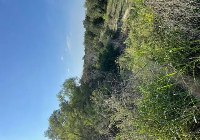 Photo 4 of Land for sale at Lot K8023 Dew Drop, Horseshoe Bay, TX 78657 | MLS# 3585119 | Listing updated on 2026-08-03