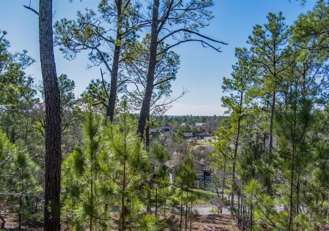 Photo 1 of Land for sale at 222 Makaha Dr, Bastrop, TX 78602 | MLS# 6138853 | Listing updated on 2026-08-03