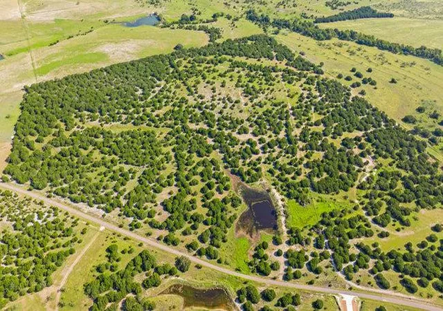 Photo 3 of House for sale at 000 Watson Yeary Rd, Lampasas, TX 76550 | MLS# 8113064 | Listing updated on 2026-07-23