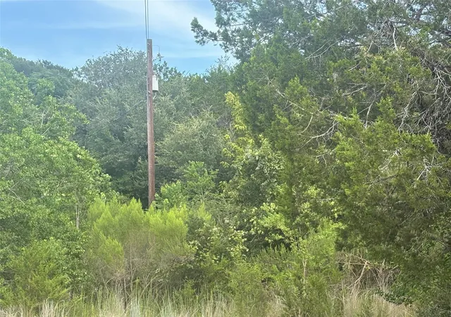 20th image of 1803 Lipan Trl, Austin, TX 78733 | MLS# 6495370