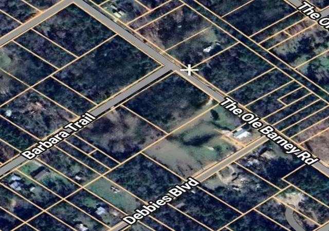 Photo 3 of Sale Pending at 133 Barbara Trl, Livingston, TX 77351 | MLS# 4519196 | Listing updated on 2026-03-16