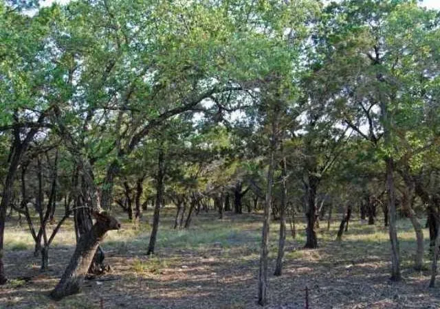 4th image of 6805 Sunset Ridge Way, Jonestown, TX 78645 | MLS# 6804050