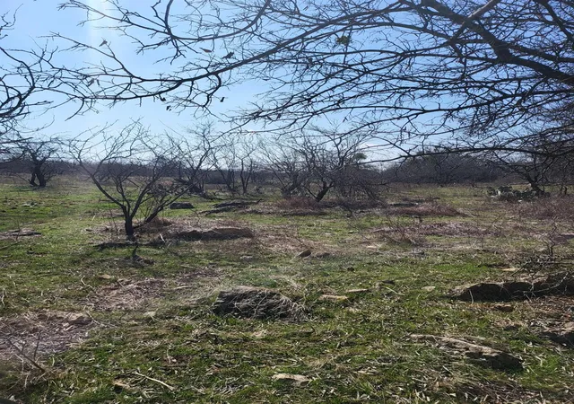 Photo 10 of Land for sale at 1051 North 1st St, Jarrell, TX 76537 | MLS# 6267437 | Listing updated on 2026-08-29