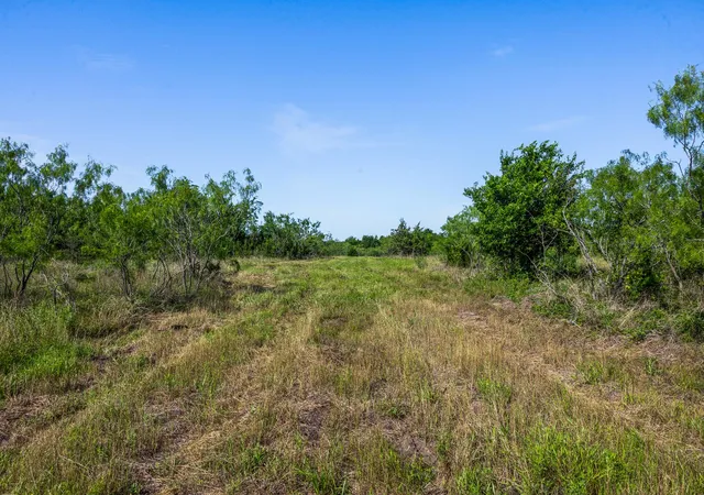 Homes for sale in Groesbeck, TX | Tract 2 Tbd Lcr 390, Groesbeck, TX 76642 | MLS# 9514054