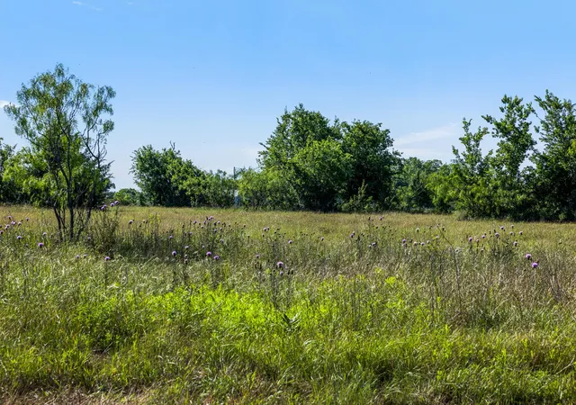 Homes for sale in Groesbeck, TX | Tract 2 Tbd Lcr 390, Groesbeck, TX 76642 | MLS# 9514054