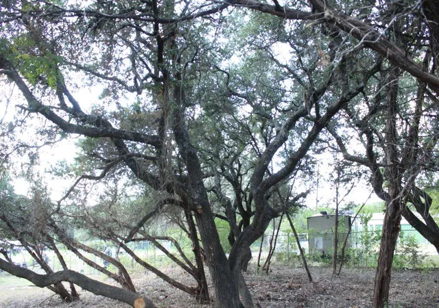 19th image of 11502 Bee St, Jonestown, TX 78645 | MLS# 7046270