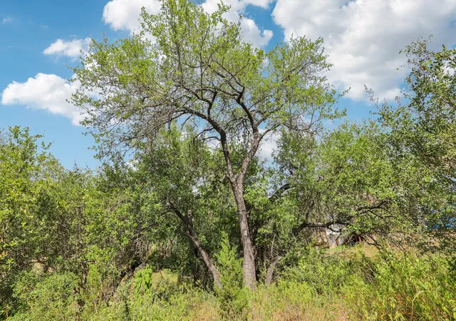 Photo 1 of Sale Pending at 12610 River Bnd, Austin, TX 78732 | MLS# 1633621 | Listing updated on 2026-08-24