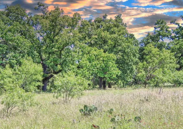 Homes for sale in Willow City, TX | Lot 4 Rm 1323, Willow City, TX 78675 | MLS# 7102776